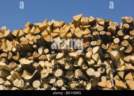 Grande catasta di legna da ardere di logs di recente tagliata e split ammassati nel cortile del Vermont in primavera Foto Stock