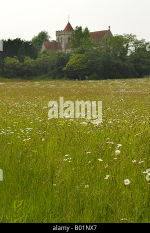 Attraverso un West Sussex prato si siede il Priorato di chiesa di Santa Maria e San Biagio, Boxgrover vicino a Chichester, West Sussex. Foto Stock