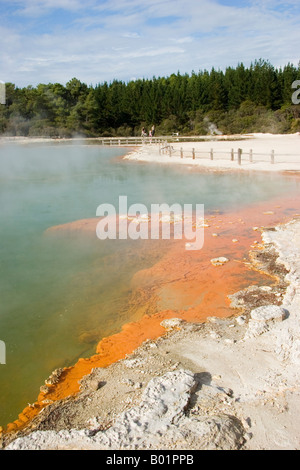 Pool di Champagne Wai O Tapu area termale della Nuova Zelanda Foto Stock