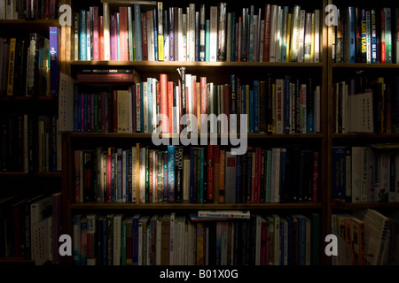 I libri sugli scaffali in un libro usato store Foto Stock