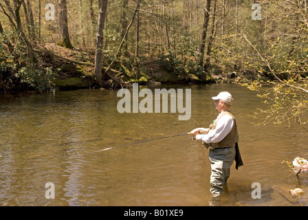 Uomo caucasico (60-65) pesci nel flusso di fiume Davidson campeggio nei pressi di Brevard North Carolina USA Foto Stock