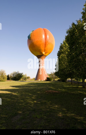 Giant Peach Water Tower Gaffney nella Carolina del Sud NEGLI STATI UNITI Foto Stock