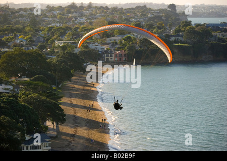 Parapendio Auckland Nuova Zelanda Foto Stock