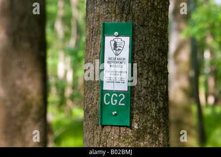 Ricerca di un marcatore di riferimento inchiodati ad un albero in Congaree Parco Nazionale vicino a Columbia nella Carolina del Sud il 20 aprile 2008 Foto Stock