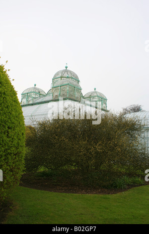 Wintergarden e Congo House Les Serres Royales de Laeken, Chateau de Laeken, Avenue du Parc Royal, Laeken, Bruxelles, Belgio Foto Stock