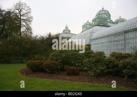 Wintergarden e Congo House, Royal serre (Les Serres Royales de Laeken) a Laeken Bruxelles Belgio Foto Stock