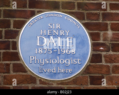 Targa blu di Sir Henry Dale (1875-1968), fisiologo, che visse Mount Vernon House, Mount Vernon, Hampstead, NW3 Foto Stock