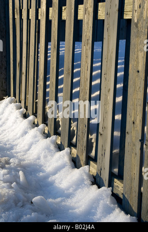 Picchetti in legno recinzione in neve. Foto Stock