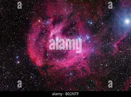IC 2944, noto anche come il pollo in esecuzione nebulosa. Foto Stock