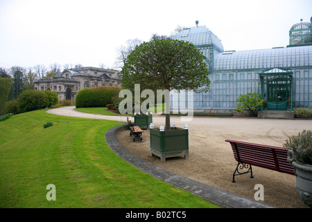 Embarcadere, Royal serre (Les Serres Royales de Laeken) a Laeken Bruxelles Belgio Foto Stock