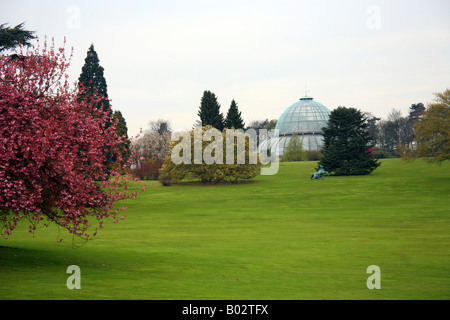 Royal serre (Les Serres Royales de Laeken) a Laeken Bruxelles Belgio Foto Stock
