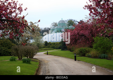 Wintergarden Royal serre (Les Serres Royales de Laeken) a Laeken Bruxelles Belgio Foto Stock