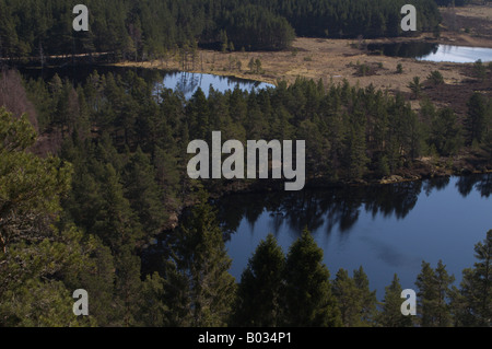 Uath Lochan, un viale alberato Scottish Loch (lago) con le montagne sullo sfondo. Foto Stock