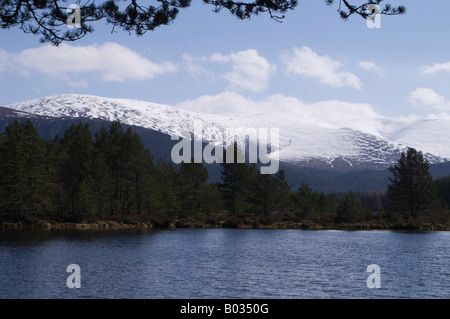 Uath Lochan, un viale alberato Scottish Loch (lago) con le montagne sullo sfondo. Foto Stock