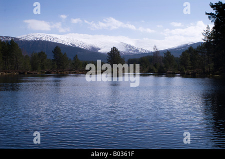 Uath Lochan, un viale alberato Scottish Loch (lago) con le montagne sullo sfondo. Foto Stock