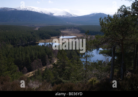 Uath Lochan, un viale alberato Scottish Loch (lago) con le montagne sullo sfondo. Foto Stock