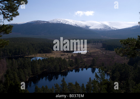 Uath Lochan, un viale alberato Scottish Loch (lago) con le montagne sullo sfondo. Foto Stock