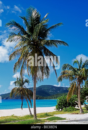 0578 Brewers Beach St Thomas US Virgin Islands Caraibi Foto Stock