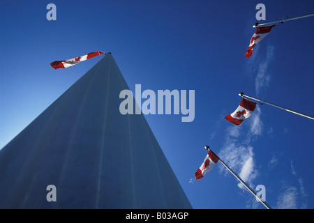 La ricerca di poli di bandiera a bandiera canadese Ottawa Ontario Canada Foto Stock