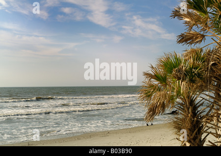 Una vista dell'Oceano Atlantico dalla Caccia Isola Carolina del Sud degli Stati Uniti. Foto Stock