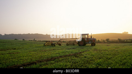 Un trattore si siede in un campo a sunrise in colonie Anama farm paese dell America Centrale Foto Stock