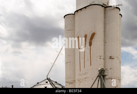 Un elevatore del grano in Watonga, Oklahoma, attende il raccolto 2008. 04-12-2008, Foto Stock