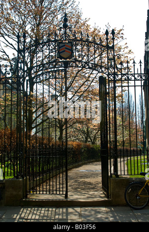 Cancelli in ferro battuto all'entrata di una corsia off Merton Street, Oxford, Inghilterra Foto Stock