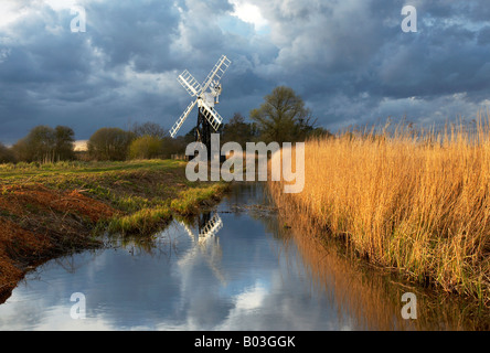 Legname Boardmans aprire incorniciato windmill riflettendo in una diga su Norfolk Broads con una tempesta che ci passa sopra la testa Foto Stock