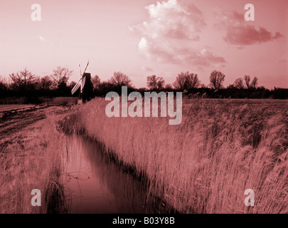 Wicken fen norfolk England Regno Unito Foto Stock