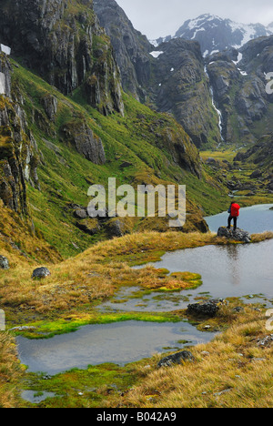 Donna errante nel lago harris Routeburn Sella via, Humboldt montagne, Mt Aspiring NP, Sud Ovest della Nuova Zelanda Foto Stock