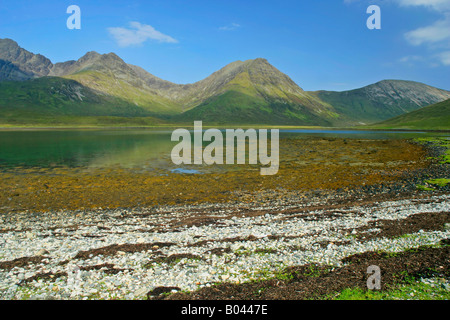 Red Cuillins e Loch Slapin visto dalla spiaggia vicino Torrin a bassa marea Isola di Skye Highlands occidentali della Scozia UK Foto Stock