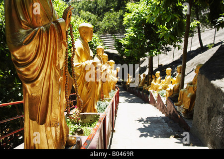 Viale di Golden Statue di Buddha che conduce al Monastero dei Diecimila Buddha, Sha Tin, Nuovi Territori, Cina Foto Stock