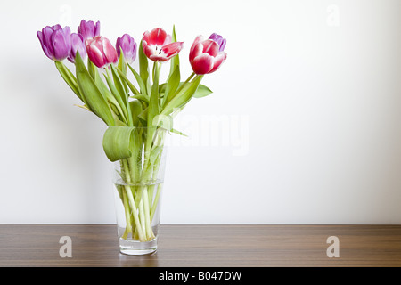 I tulipani in un vaso Foto Stock