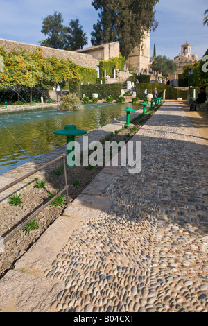 Giardini dell'Alcazar de los Reyes Cristianos (Castello dei monarchi cristiani), città di Cordoba, Patrimonio Mondiale dell UNESCO Foto Stock