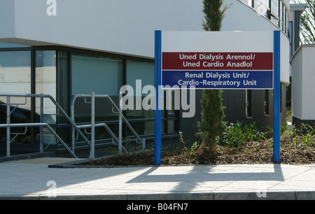 Carmarthen Carmarthenshire West Wales GB UK 2008 Foto Stock