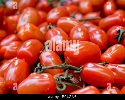 Pomodori freschi maturi Foto Stock