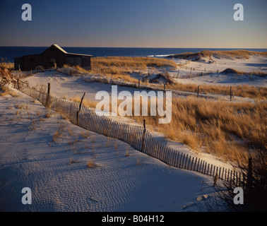 Cottage estivi sulla spiaggia Foto Stock