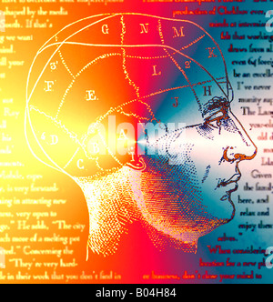 Antico disegno delle aree del cervello e il phrenology Foto Stock