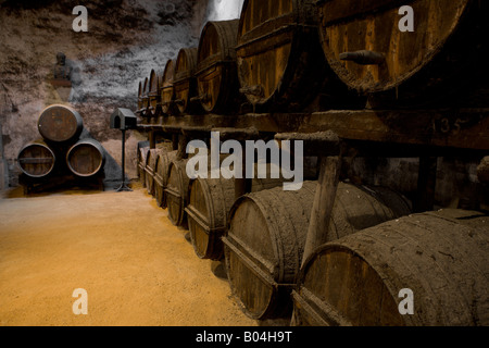 Righe di barili di sherry presso il Gruppo Gonzalez Byass bodega di sherry nella città di Jerez de la Frontera, Costa de la Luz Foto Stock