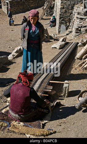 Donna tibetana tesse la lana di yak su un dorsalino telaio nel villaggio di NAR NAR PHU TREK ANNAPURNA CONSERVATION AREA NEPAL Foto Stock