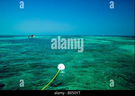 Key Largo, Grecian rocce Foto Stock