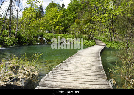 Il Cascades e cascata, il lago e la passerella in legno, Croazia e i laghi di Plitvice NP Foto Stock