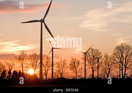 Mulini a vento al tramonto, in Germania, in Renania Palatinato, Eifel Foto Stock