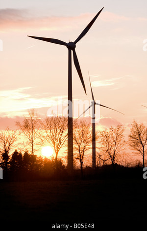 Mulini a vento al tramonto, in Germania, in Renania Palatinato, Eifel Foto Stock