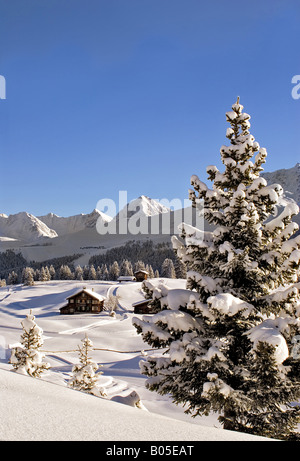 Piccola casa di montagna in un bellissimo paesaggio invernale in Arosa, Switzerland Foto Stock