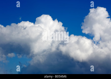 Cumulus nuvole contro un vivid blue sky Foto Stock