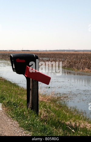 Colture inondate lungo una strada rurale Foto Stock