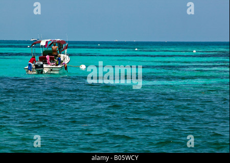 Snorkeling in barca privata Grecian rocce, Key Largo Florida Foto Stock