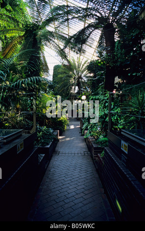 Conservatorio di Barbican, Barbican station wagon, City of London, Londra, Inghilterra, Regno Unito Foto Stock