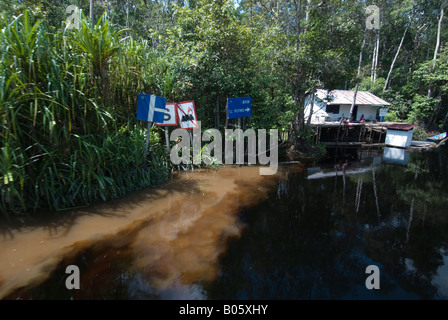 Fiume in Tanjung messa parco nazionale di Borneo che mostra l'inquinamento dovuto alla miniera illegale Foto Stock